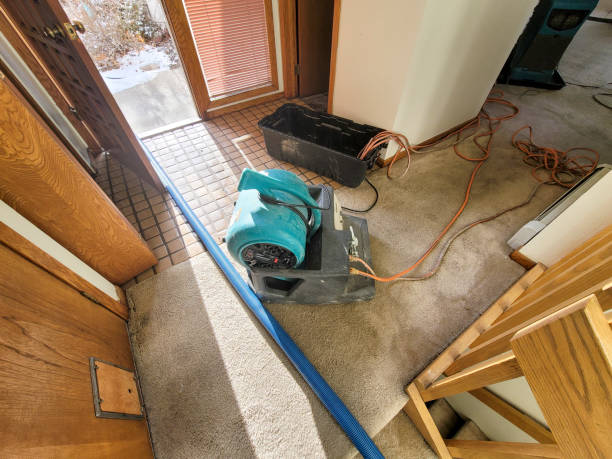 Best Water damage restoration experts  in Junction City, KS