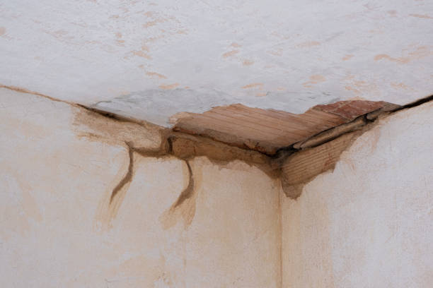 Best Water damage restoration insurance claims  in Junction City, KS