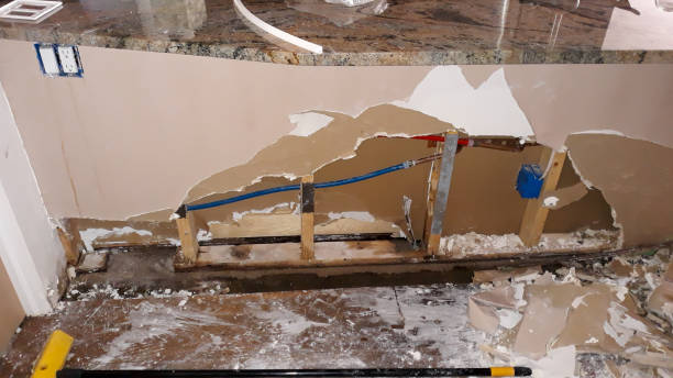 Best Professional water damage repair  in Junction City, KS